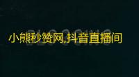 小熊秒赞网,抖音直播间挂人网站 - 抖音点赞充值24小时到账特价 - 抖音24小时在线下单平台免费